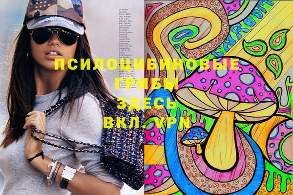 дмт Верея