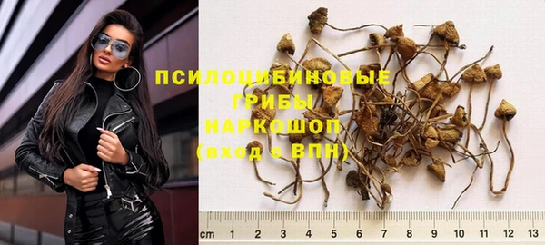 дмт Верея