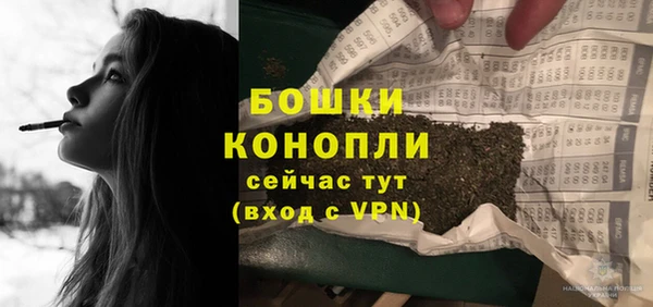 дмт Верея