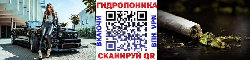 Бошки марихуана MAZAR Энгельс